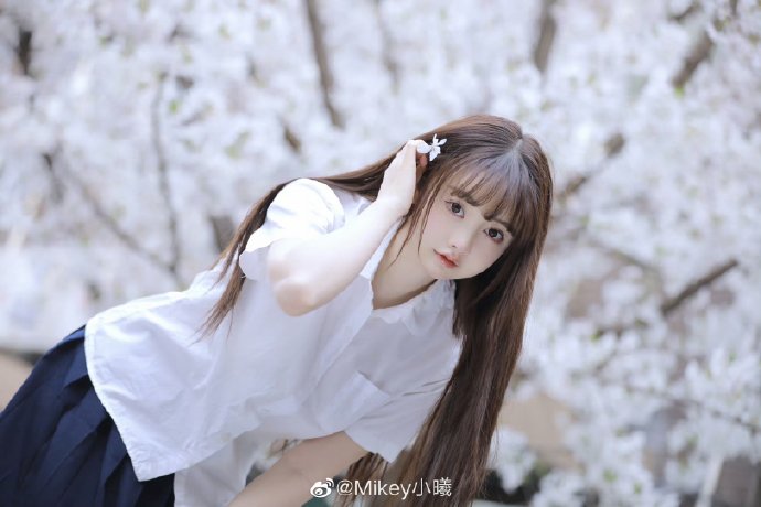 风骚律师